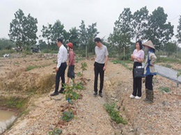 Hội Nông dân Thành phố Hà Nội thẩm định dự án vay vốn Quỹ Hỗ trợ nông dân tại xã Hoài Đức