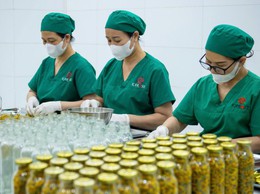 Xuân Mai triển khai việc khảo sát nhu cầu phát triển thị trường và đăng ký tham gia các sự kiện tháng 4/2026