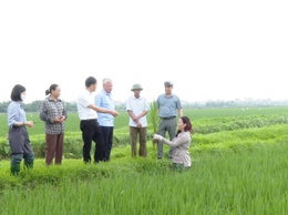 LÃNH ĐẠO SỞ NÔNG NGHIỆP VÀ MÔI TRƯỜNG HÀ NỘI KIỂM TRA, THĂM ĐỒNG TẠI XÃ ỨNG HOÀ.