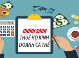Hướng dẫn Hộ kinh doanh nắm vững chính sách - thực hiện đúng quy định Thuế