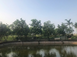 Hội Cựu chiến binh xã Thượng Phúc đang ghi nhận nhiều kết quả tích cực trong việc khai thác và sử dụng hiệu quả nguồn vốn vay từ Ngân hàng Chính sách Xã hội