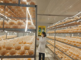 Sở nông nghiệp và môi trường TP Hà Nội: khảo sát nhu cầu phát triển thị trường và đăng ký tham gia các sự kiện tháng 4/2026