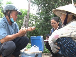UBND xã Hòa Phú: Tiêm phòng vắc xin cho đàn gia súc, gia cầm trên địa bàn xã Hòa Phú đợt 1 năm 2026