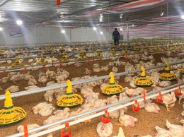 Hiệu quả nguồn vốn vay Ngân hàng CSXH ở Đoài Phương

