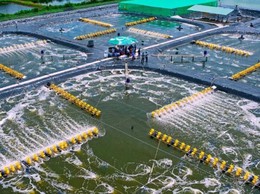 6 cách gia cố ao, đầm, lồng bè an toàn trước mùa mưa bão