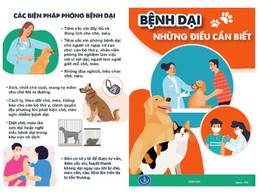 Bệnh Dại và các biện pháp phòng, chống dịch bệnh
