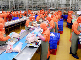 Xuân Mai: Dừng hoạt động các cơ sở giết mổ nhỏ lẻ không đủ điều kiện từ ngày 30/6/2026