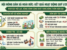 Hội nông dân xã Hoài Đức: Khơi dậy nội lực, đồng hành cùng khát vọng nông thôn hiện đại