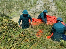 Lịch sử hình thành và phát triển của Dân quân tự vệ