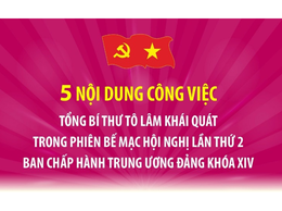 Năm nội dung công việc Tổng Bí thư khái quát trong phiên bế mạc hội nghị Trung ương 2 khoá XIV