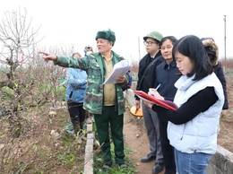 Xã Hồng Vân nỗ lực giải phóng mặt bằng dự án khu đô thị thể thao Olympic
