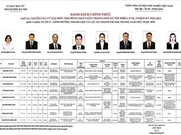 Tiểu sử những người ứng cử đại biểu HĐND thành phố Hà Nội khóa XVII, nhiệm kỳ 2026-2031, đơn vị bầu cử số 17