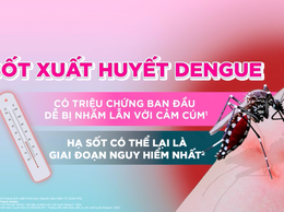 SỐT XUẤT HUYẾT DENGUE