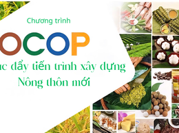 V/v cung cấp công khai thông tin cơ sở sản xuất, kinh doanh thực phẩm nông lâm thủy sản và Công thương trên địa bàn xã