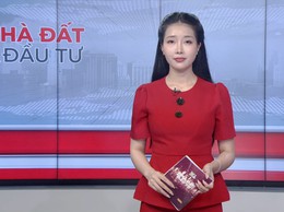 Bản tin Nhà đất và đầu tư | 29/03/2026