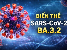 Cảnh giác với biến thể COVID-19 mới BA.3.2 (“Ve sầu”): Không hoang mang nhưng cần chủ động phòng bệnh