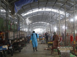 Xã Chương Dương quan tâm công tác chăn nuôi, thú y và thủy sản, chủ động phòng chống dịch bệnh