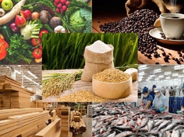 Đăng tải thông tin hộ kinh doanh đã thực hiện tự công bố sản phẩm lĩnh vực Nông lâm thủy sản