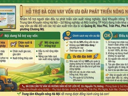 HỖ TRỢ BÀ CON VAY VỐN ƯU ĐÃI PHÁT TRIỂN NÔNG NGHIỆP