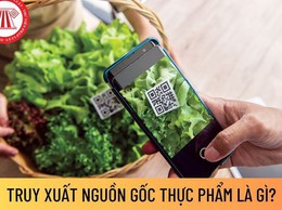 Mỗi người dân cần mua bán và sử dụng thực phẩm rõ nguồn gốc