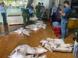 Kết luận của Phó Chủ tịch UBND xã - Đỗ Xuân Tình tại hội nghị kiểm điểm kết quả thực hiện kế hoạch về quản lý, giết mổ, vận chuyển, kinh doanh động vật và sản phẩm động vật, đảm bảo an toàn thực phẩm