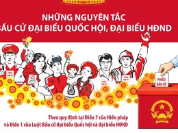 NHỮNG NGUYÊN TẮC BẦU CỬ ĐẠI BIỂU QUỐC HỘI, ĐẠI BIỂU HĐND