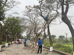 Kiểm tra rà soát hệ thống cây xanh, cắt tỉa, phòng chống gãy đổ để đảm bảo an toàn cho người và tài sản trước mùa mưa bão năm 2026