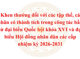 UBND phường Thanh Xuân khen thưởng các tập thể, cá nhân xuất sắc trong công tác bầu cử nhiệm kỳ 2026-2031