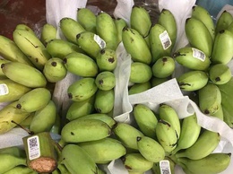 HƯỚNG DẪN QUY ĐỊNH VỀ MÃ SỐ VÙNG TRỒNG, MÃ SỐ CƠ SỞ ĐÓNG GÓI THEO NGHỊ ĐỊNH 38/2026/NĐ-CP