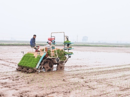 Kỷ niệm Ngày Hợp tác xã Việt Nam 11/4: Kinh tế tập thể ở Quảng Bị khẳng định vai trò động lực phát triển địa phương