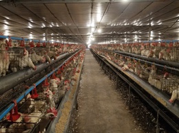 THÔN PHƯƠNG NHỊ XÃ DÂN HÒA VỚI VIỆC BÀN GIAO MẶT BẰNG DỰ ÁN XÂY DỰNG KHU ĐÔ THỊ THỂ THAO OLYMPIC