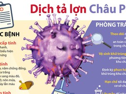 HƯỚNG DẪN PHÒNG, CHỐNG BỆNH DỊCH TẢ LỢN CHÂU PHI