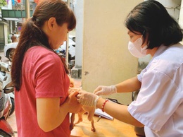Phường Thanh Liệt: Hoàn thành chi tiêu tiêm phòng dại cho chó, mèo đợt 1/2026