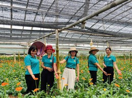 Hội Nông dân xã Quảng Oai tổ chức tham quan, học tập mô hình sản xuất nông nghiệp an toàn tại xã Đan Phượng