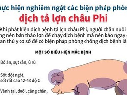 TUYÊN TRUYỀN BỆNH DỊCH TẢ LỢN CHÂU PHI