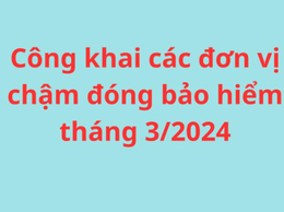 Công khai các đơn vị chậm đóng BHXH, BHYT, BHTN trên địa bàn phường Tây Hồ (tháng 03/2026)
