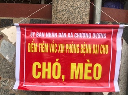 Xã Chương Dương - Triển khai tiêm phòng miễn phí vắc xin bệnh Dại đợt I năm 2026