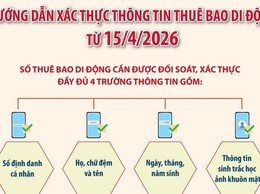 Hướng dẫn chi tiết các bước tự xác thực SIM chính chủ trên VNeID từ ngày 15/4