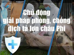 Xã Chương Dương tăng cường các biện pháp phòng, 
chống bệnh dịch tả lợn châu Phi