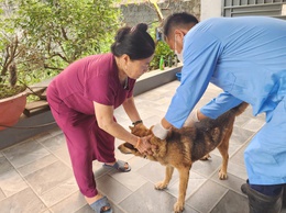 Trung tâm Dịch vụ tổng hợp xã Hòa Phú tiếp tục triển khai tổ chức tiêm phòng vắc xin cho đàn gia súc, gia cầm đợt 1 năm 2026