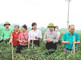 Hội Nông dân xã tổ sơ kết đánh giá công tác quý I