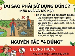 TRUNG TÂM DỊCH VỤ TỔNG HỢP XÃ XUÂN MAI: HƯỚNG DẪN SỬ DỤNG THUỐC BẢO VỆ THỰC VẬT AN TOÀN, HIỆU QUẢ