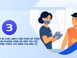 Xã Phú Xuyên - Tuyên truyền Phòng chống bệnh dại