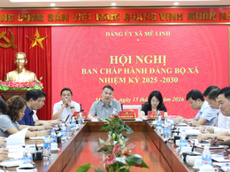 Hội nghị Ban Chấp hành Đảng bộ xã Mê Linh nhiệm kỳ 2025 - 2030