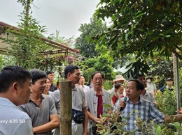 Tham quan mô hình kinh tế tiêu biểu – tìm hướng đi mới cho nông dân phường Tùng Thiện