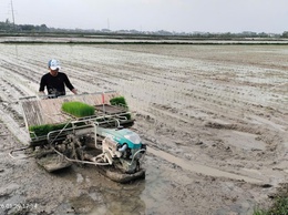 Chính sách hỗ trợ cơ giới hóa trong sản xuất nông nghiệp theo Nghị quyết số 53/2025/NQ-HĐND