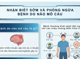Nhận biết sớm và phòng ngừa bệnh do não mô cầu