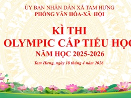 628 học sinh tiểu học sẵn sàng tham dự Kỳ thi Olympic năm học 2025–2026