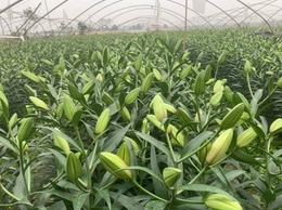 Hội Nông dân xã Thuận An đẩy mạnh các hoạt động hỗ trợ hội viên