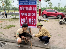 Xã Thuận An triển khai tiêm vắc xin phòng bệnh dại cho đàn chó, mèo năm 2026